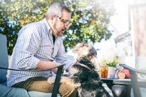 Schnauzer stands to man's lap sitting at a patio table outdoors