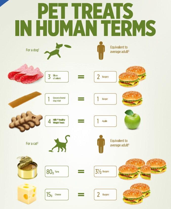 Godbit översättare