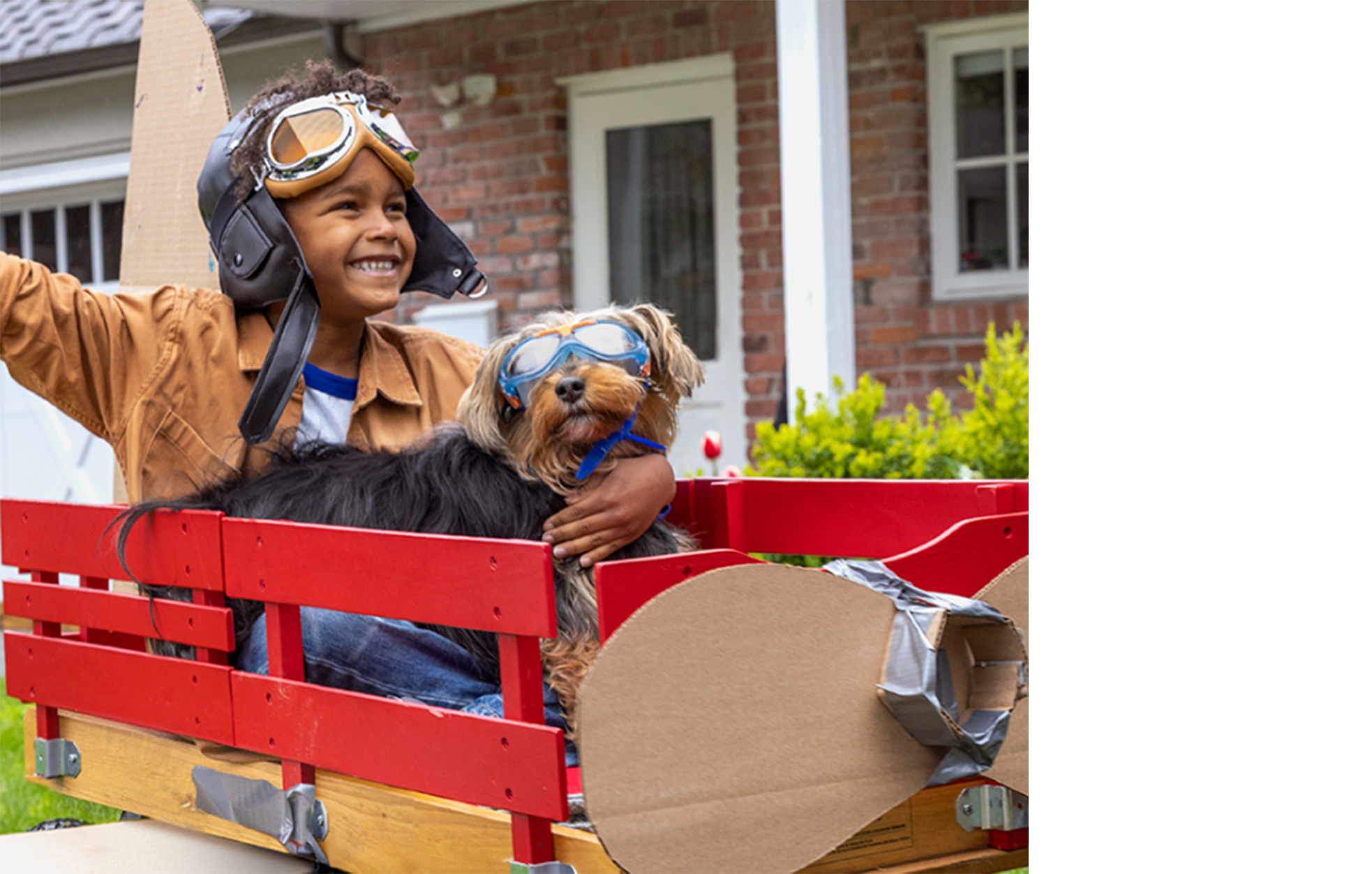 boy and dog playing in wagon