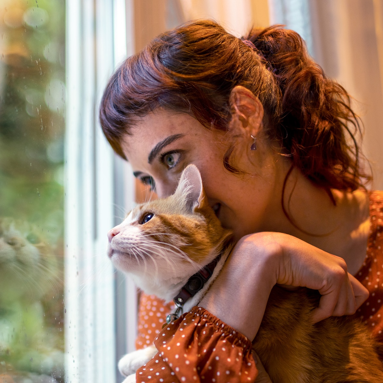 Cat on the couch with pet parent
