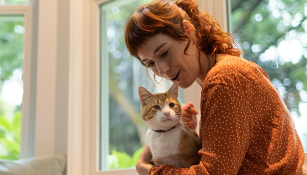 En brunvit katt sitter i en kvinnas knä