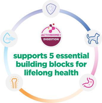 Infografik förklarar 5 viktiga byggstenar för valpens hälsa