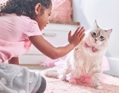 En ung flicka leker med en kattunge