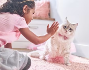 En ung flicka leker med en kattunge