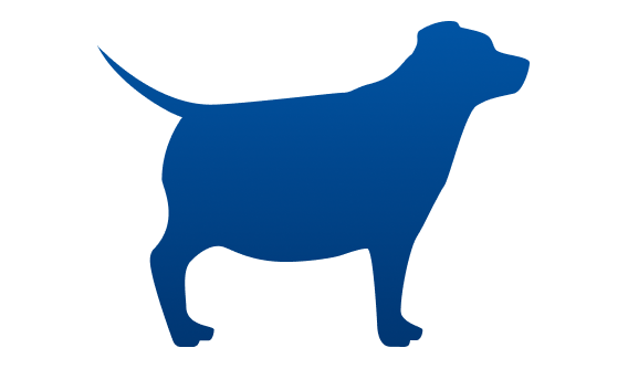Överviktig hund