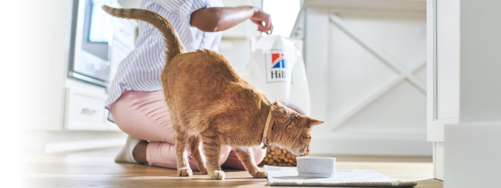 Hund som äter Hill's mat