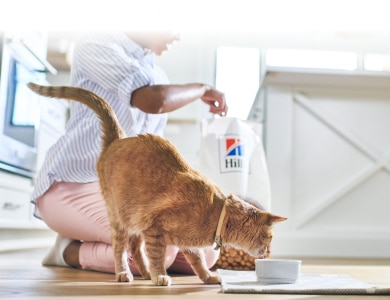 Hund som äter Hill's mat