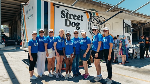 A team helping street's dogs.