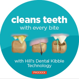 DENTAL FODERBITSTEKNOLOGI