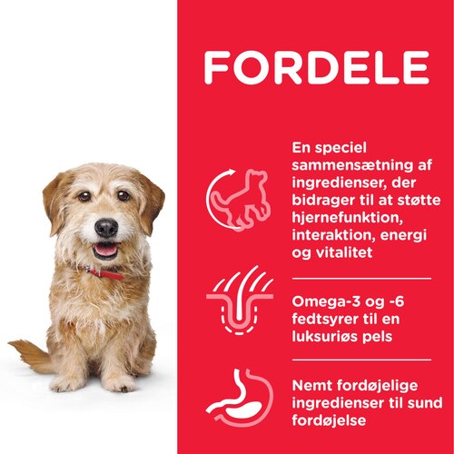 sp-canine-science-plan-adult-7-plus-youthful-vitality-mini-with-chicken-and-rice-dry