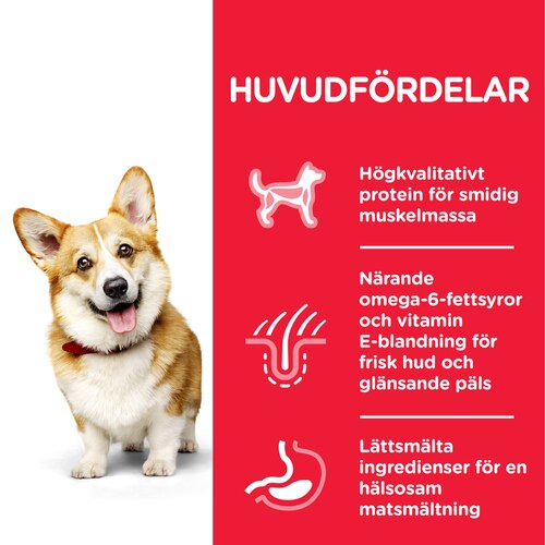 sp-canine-science-plan-adult-small-and-miniature-chicken-turkey-dry
